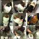 This is the best, exclusive release from Hankidan to date as he bravely risks life & limb to capture countless women on video during their most private moments in a truck stop restroom! About 30 minutes. 404MB, MP4 file requires high-speed Internet.